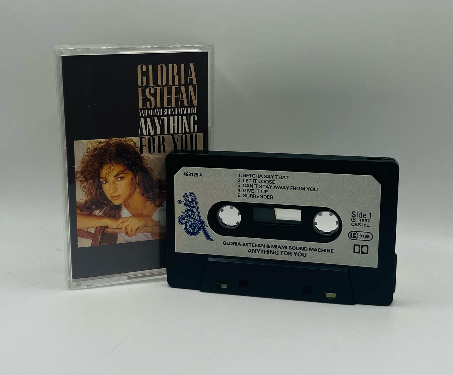 Gloria Estefan (Anything For You)
