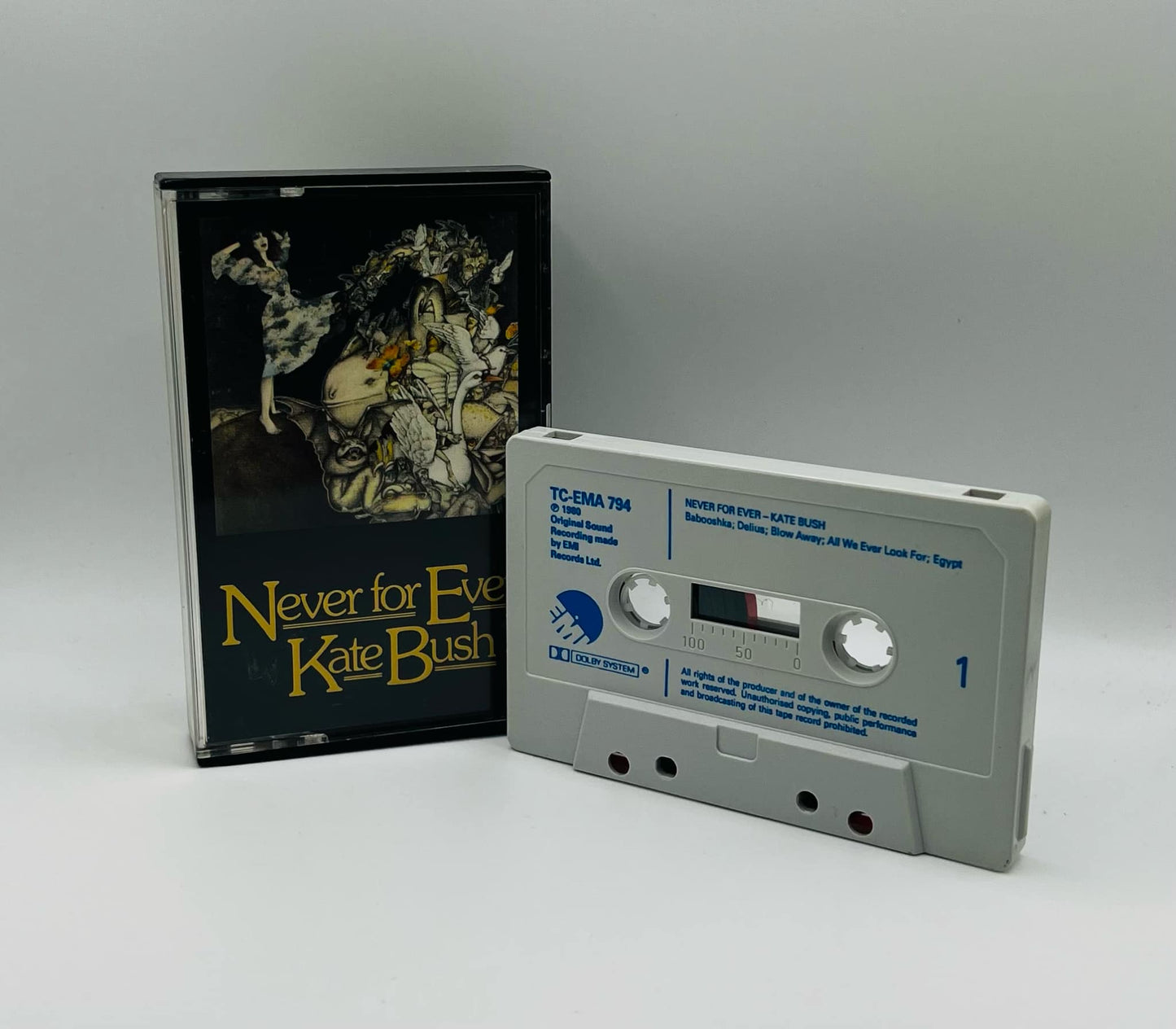 Kate Bush (Never For Ever)