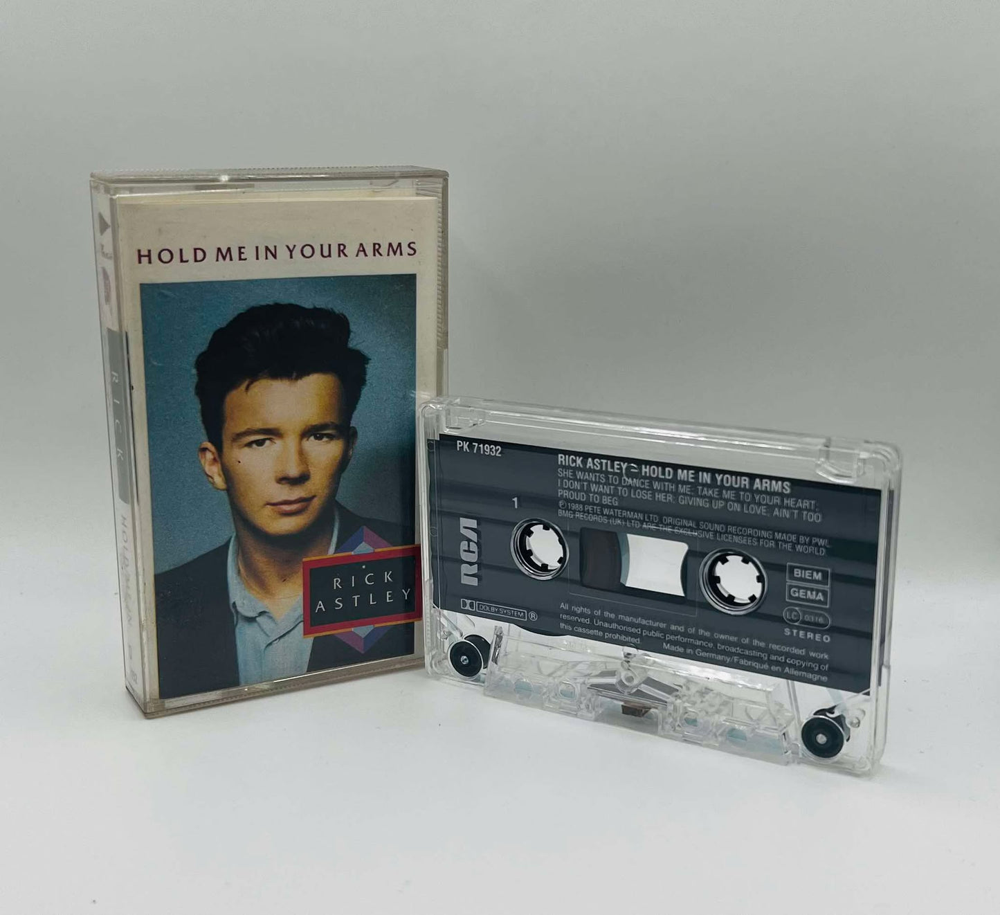 Rick Astley (Hold Me In Your Arms)