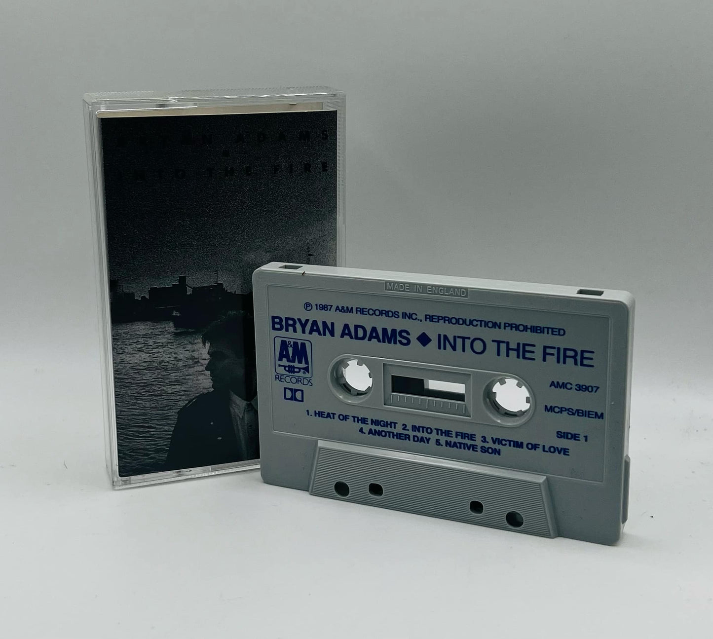 Bryan Adams (Into The Fire)