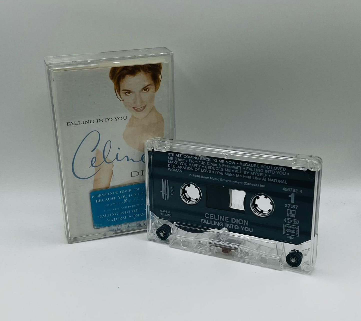 Celine Dion (Falling Into You)