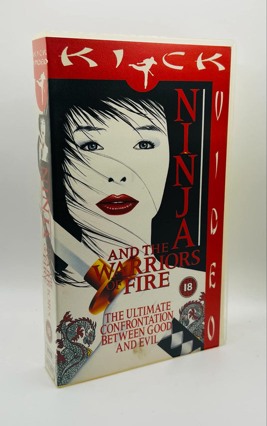 Ninja And The Warriors Of Fire (18)