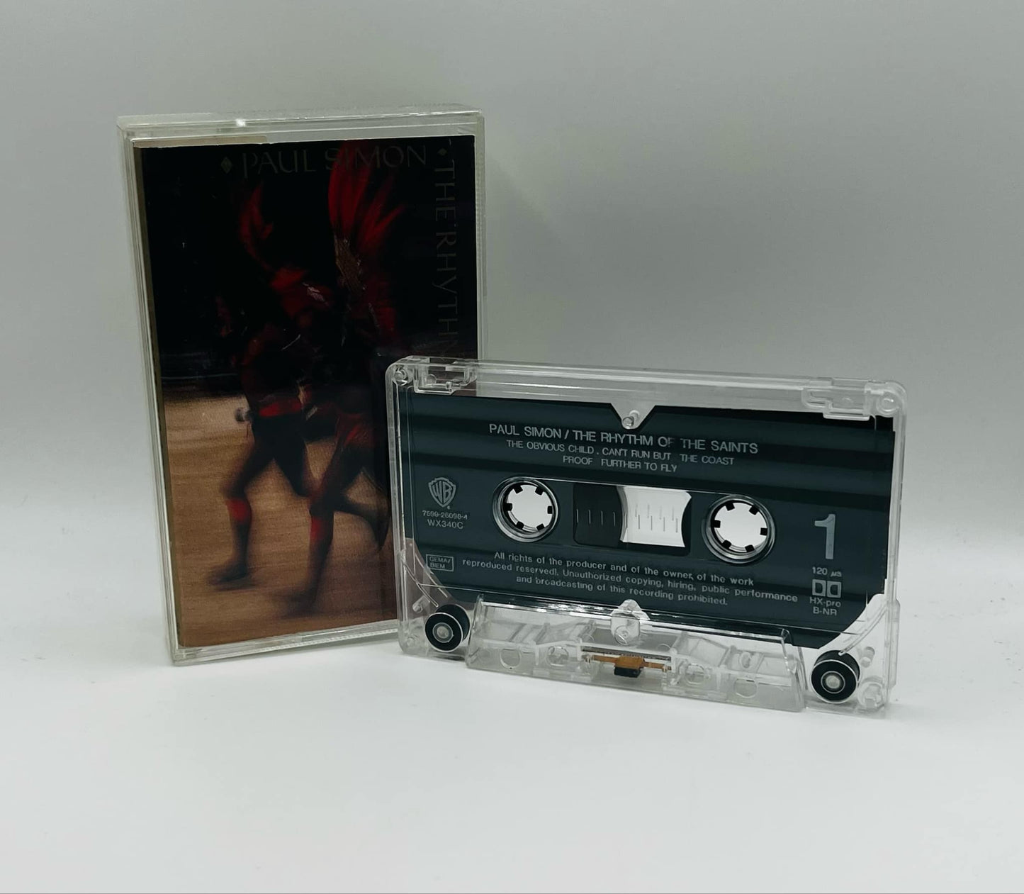 Paul Simon (The Rhythm Of The Saints)